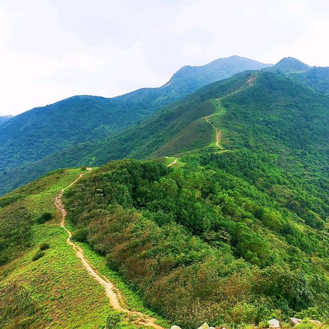 大輋峒