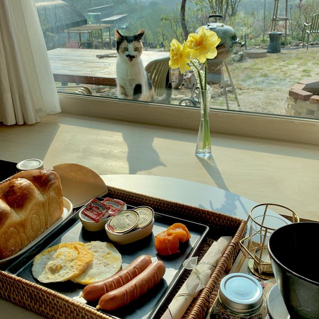 현실판 리틀포레스트 청도 독채펜션