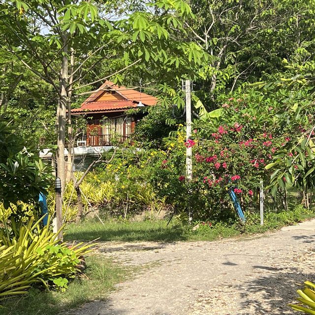 ที่พักคืนละ 500 รวมอาหารเช้า@บ้านไร่อารียา ราชบุรี