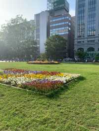 札幌　札幌観光　初夏の札幌大通公園に行ってみた2023年
