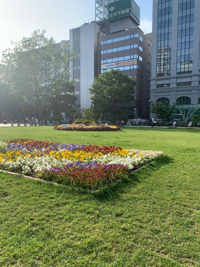 札幌　札幌観光　初夏の札幌大通公園に行ってみた2023年