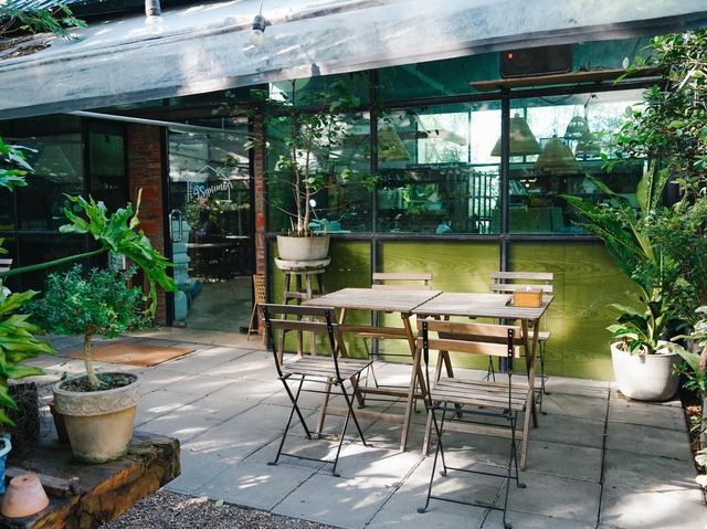 9th September Eat Drink Tree คาเฟ่ใต้ต้นจามจุรียัก
