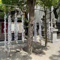 【打卡必去】難波八阪神社⛩️