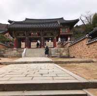釜山賞楓美到爆《梵魚寺》