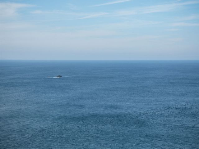壯麗的海岸,神奇的風吹砂 壯麗的海岸,神奇的風吹砂