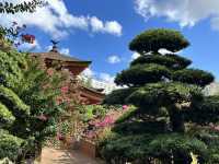 坐港鐵遊香港 | 鑽石山站 | 南蓮園池與志蓮淨苑