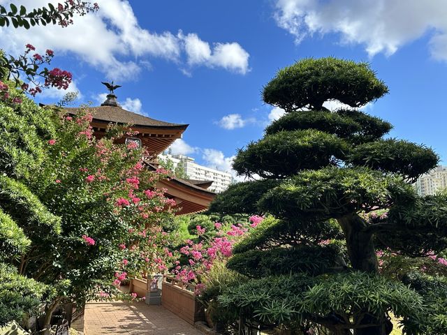 坐港鐵遊香港 | 鑽石山站 | 南蓮園池與志蓮淨苑