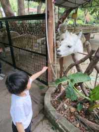 深圳野生動物園：瞬間拉近野生世界與人的距離
