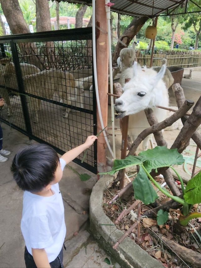 深圳野生動物園：瞬間拉近野生世界與人的距離