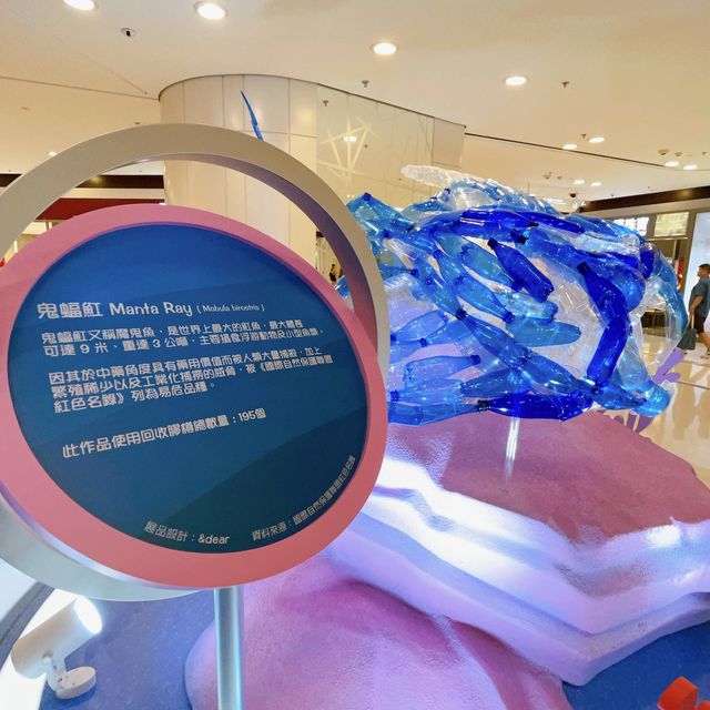 親子暑期好去處 @ 青衣城環保概念海洋世界