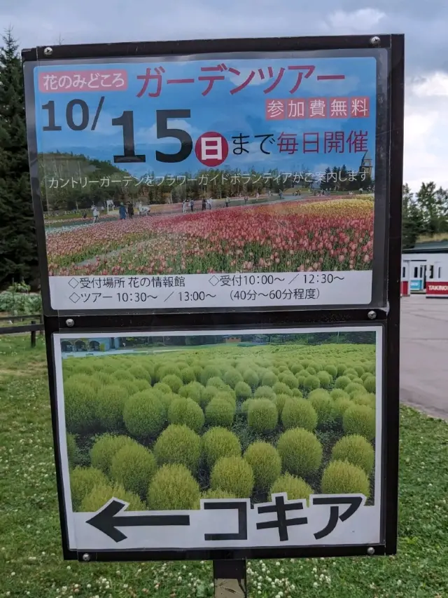 【北海道の大きな公園】キャンプも出来る滝野すずらん丘陵公園