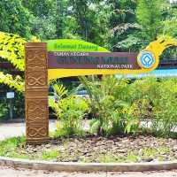 Mulu Magic - Borneo's Hidden Gem