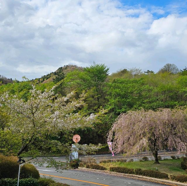造就別府溫泉鄉的日本名山鶴見岳⛰️