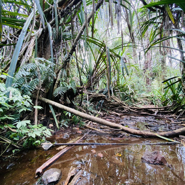 Taman Nasional Halimun Salak 