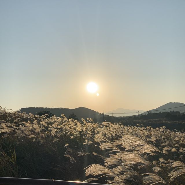 제주 오름추천 “용눈이오름”🌾