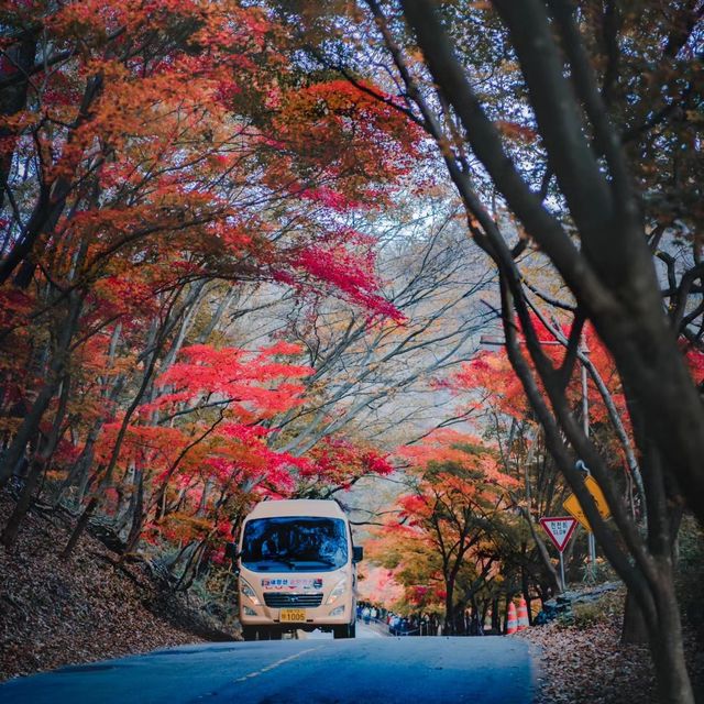 男鹿國定公園 🍁🌲迷人秋色🍂🏞️