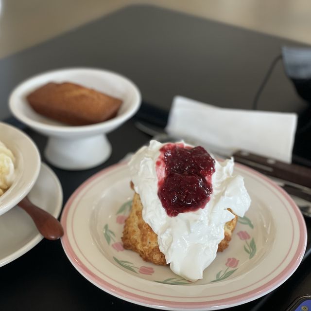 예쁜 창으로 보는 뷰 맛집 진해 어씨빅센터 ACCC 벚꽃시즌 완전 핫플