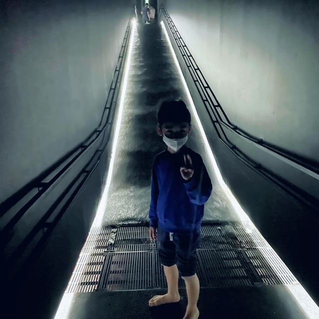 日本東京潮人必去~Teamlab planets