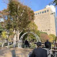 Huge park in Shinjuku 
