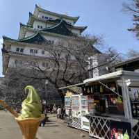 日本特別史蹟 - 名古屋城看傳統城堡！