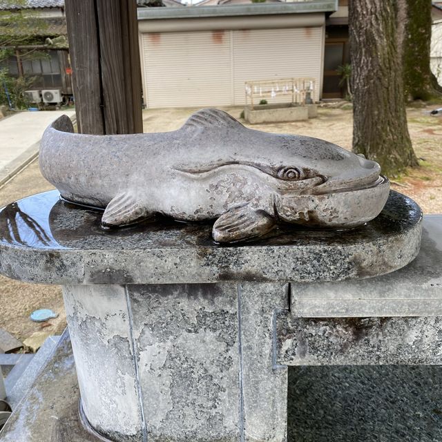 佐賀県嬉野！豊玉姫神社と白なまず様〜美肌の神様〜