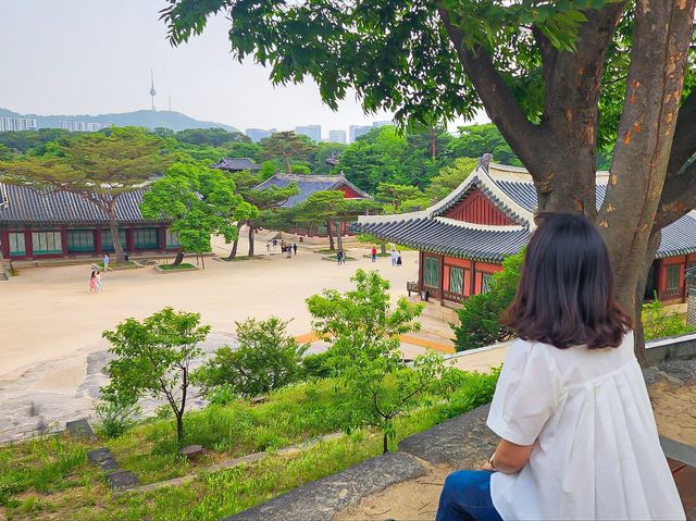  [창경궁]  서울 도심 속 고궁 나들이