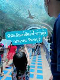 🐠พิพิธภัณฑ์สัตว์น้ำอ่าวคุ้งกระเบน จันทบุรี🐠