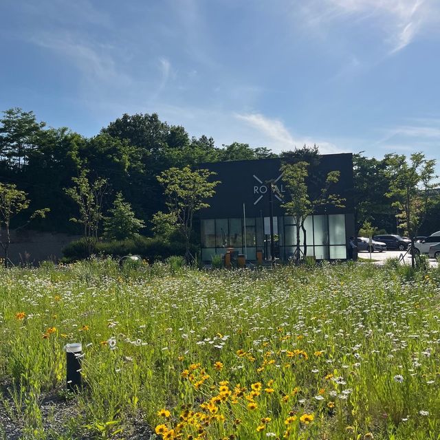 화성에도 생긴 샤스타데이지 꽃밭이 있는 카페! 욕실컨셉의 로얄엑스클럽