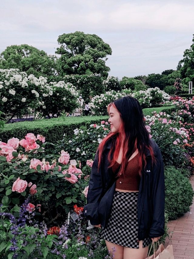 🌹Yokohama Rose Week 2023🥀