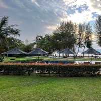 The Mangrove by Blu Monkey 
