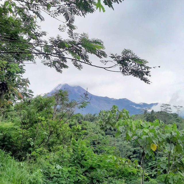 Tankaman natural park