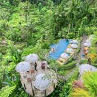 Wonderful rice terraces in Bali