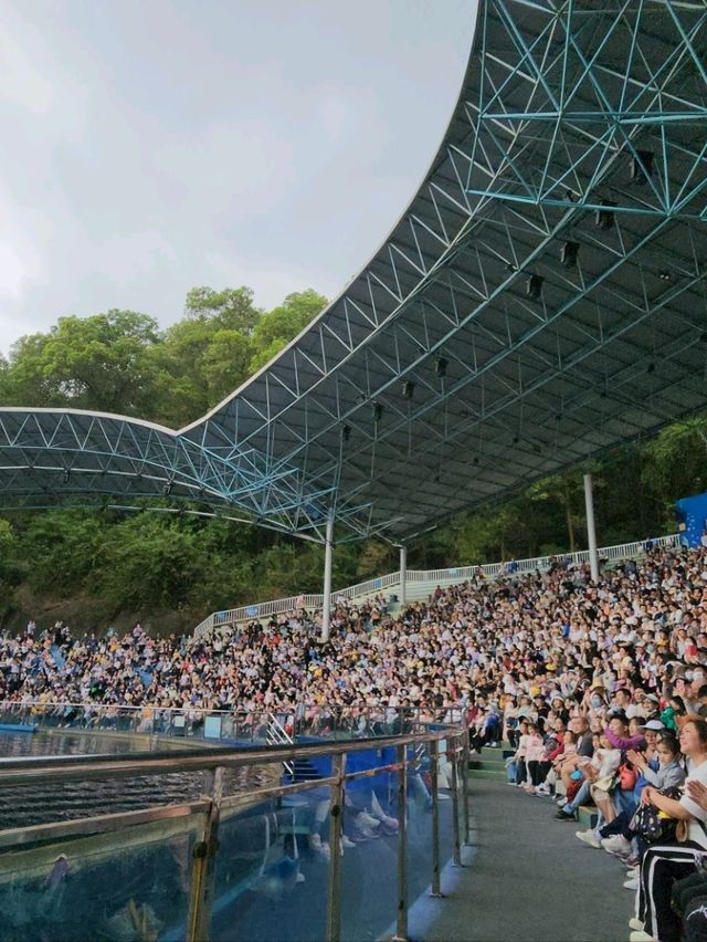 深圳野生動物園：瞬間拉近野生世界與人的距離