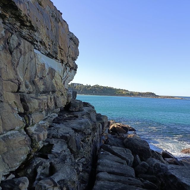 Hidden Gem in Manly 