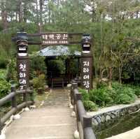 Botanical Garden in Baguio City! 😯