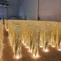 桃園展覽【世界客家博覽會臺灣館】