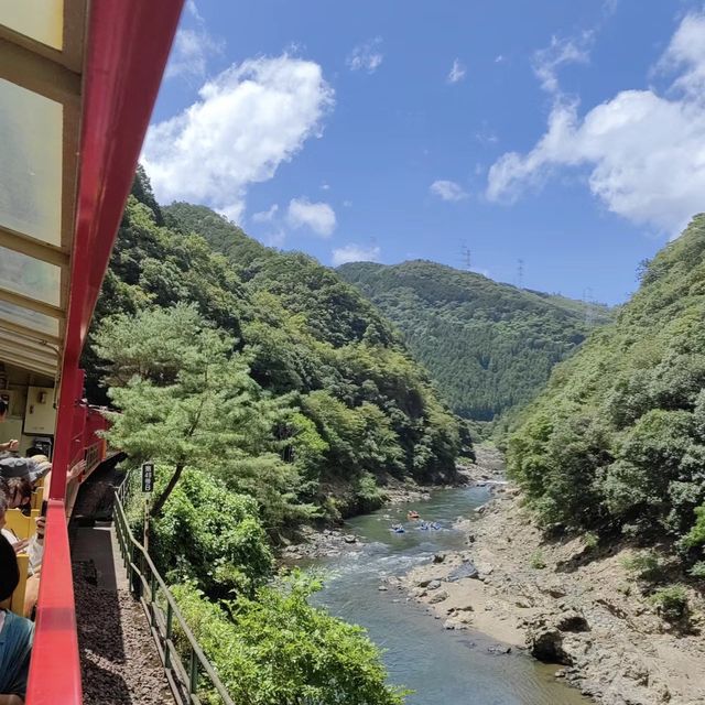 嵐山小火車：穿越童話世界！🚂🌸🌳