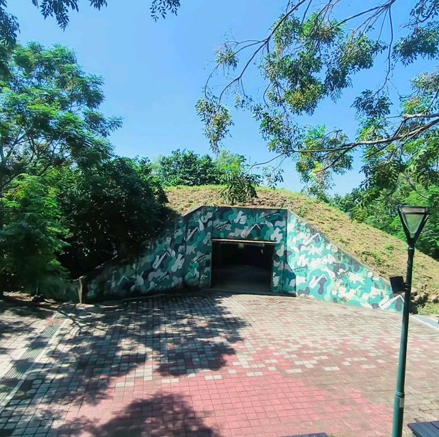 岡山之眼登高遠眺水庫美景