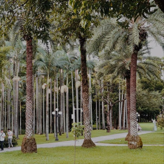 Lizhi Park, Shenzhen