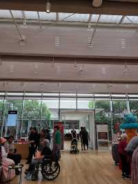 Kimbell Art Museum 🎨✨