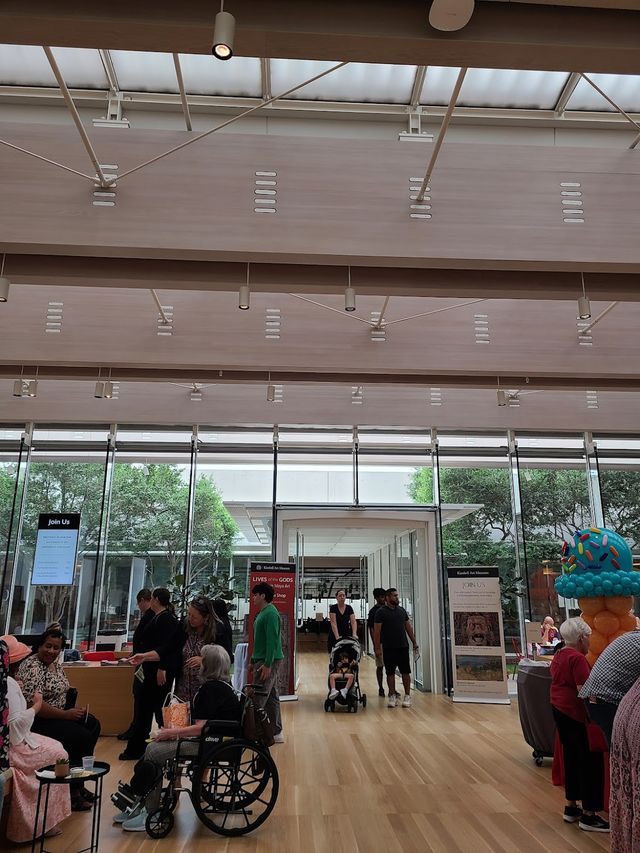 Kimbell Art Museum 🎨✨
