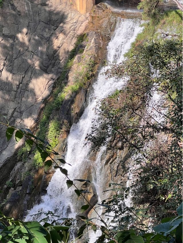 시원하게 떨어지는 폭포를 한눈에 담기🩵