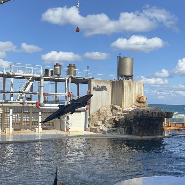 【兵庫】絶景すぎる水族館！城崎マリンワールド