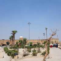 Discover Mosque of Muhammad Ali in Cairo