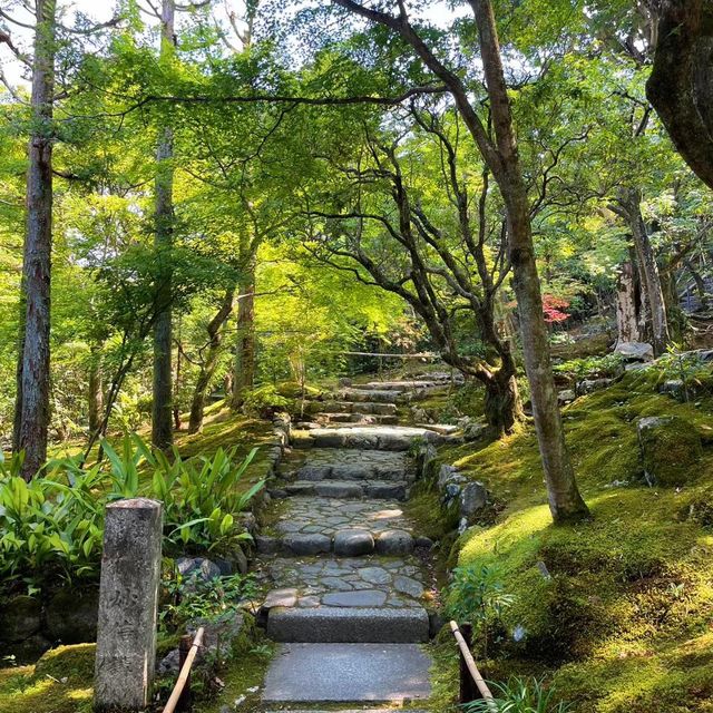 常寂光寺!!尋找內心寧靜的放鬆🌸🏯 