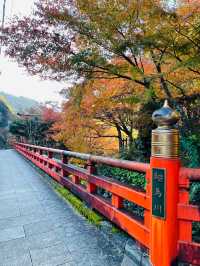 【京都府/一の鳥居・梶取社】貴船神社だけじゃない！