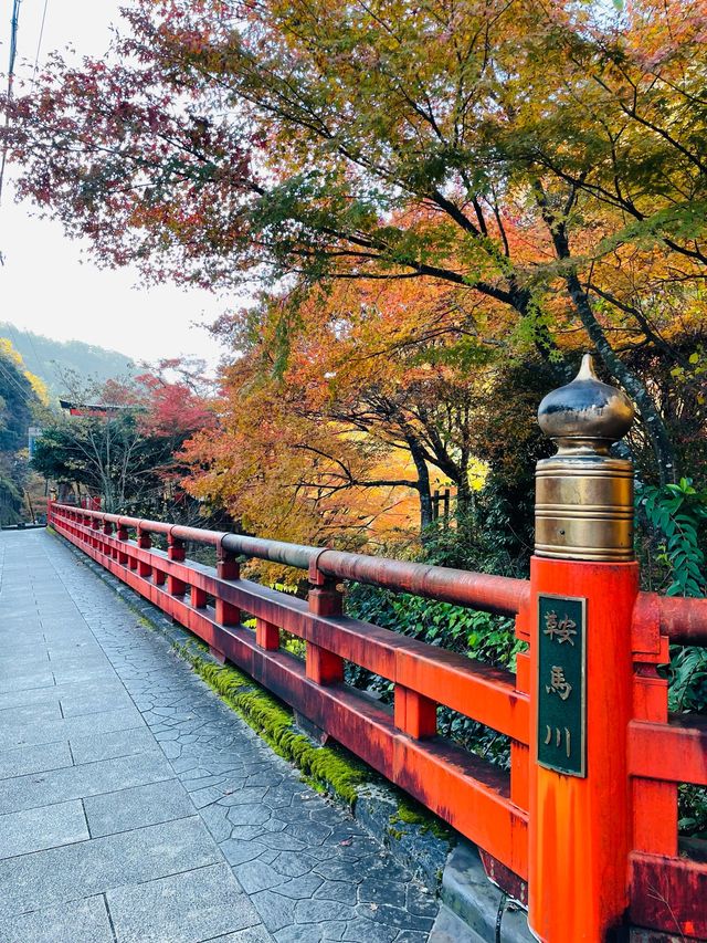【京都府/一の鳥居・梶取社】貴船神社だけじゃない！