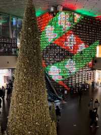 韓国/ソウル【COEX】ビョルマダン図書館×クリスマス2023