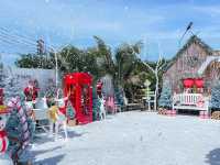 Boat cafe’ 