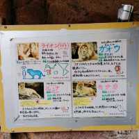 通天閣とサバンナの野生動物が一緒に楽しめる　天王寺動物園